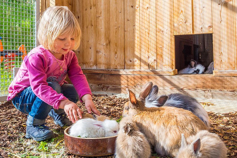 Familienurlaub mit Kindern auf dem Bauernhof