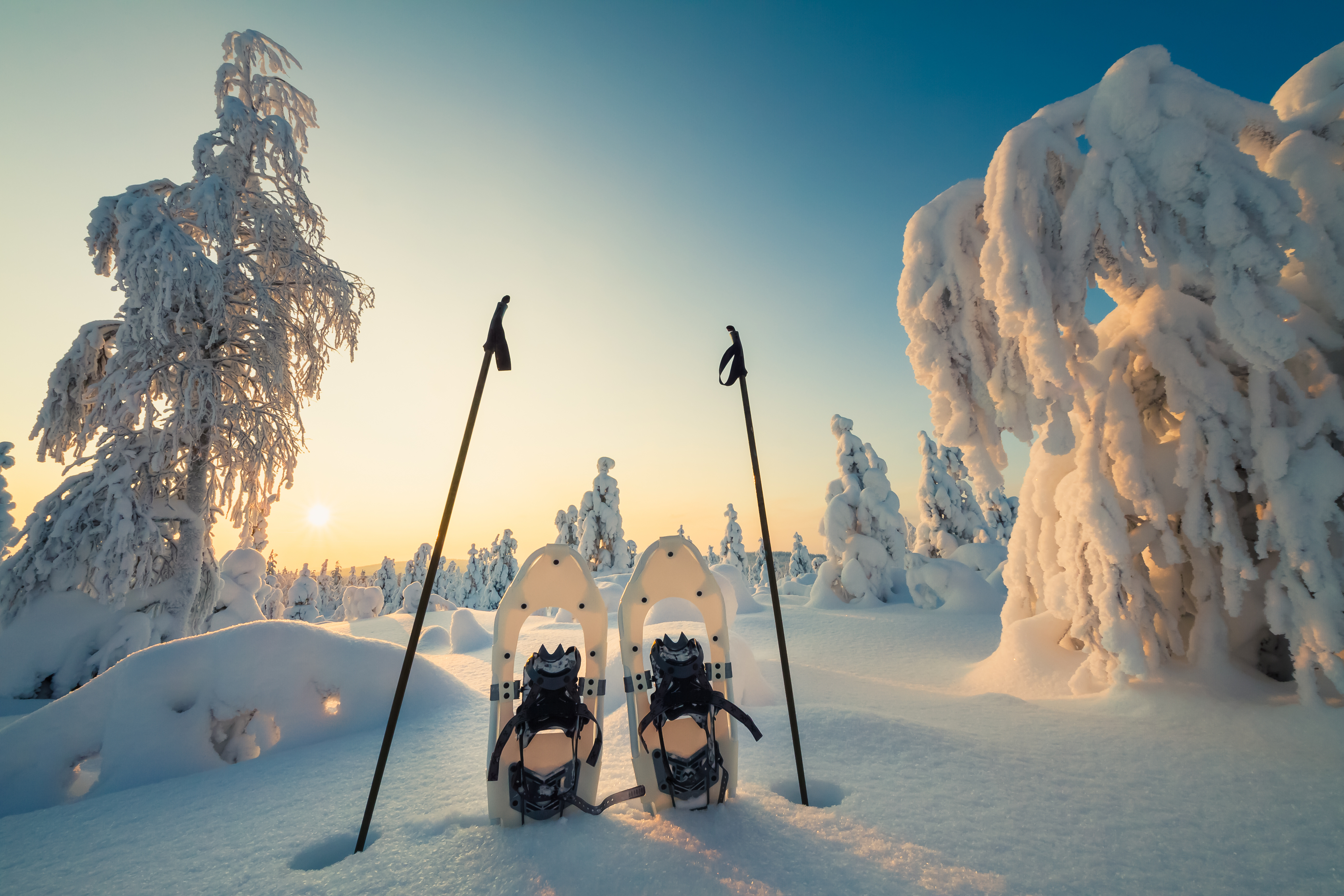 Schneeschuhwanderung in verschneiter Landschaft