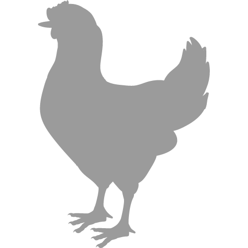 Huhn