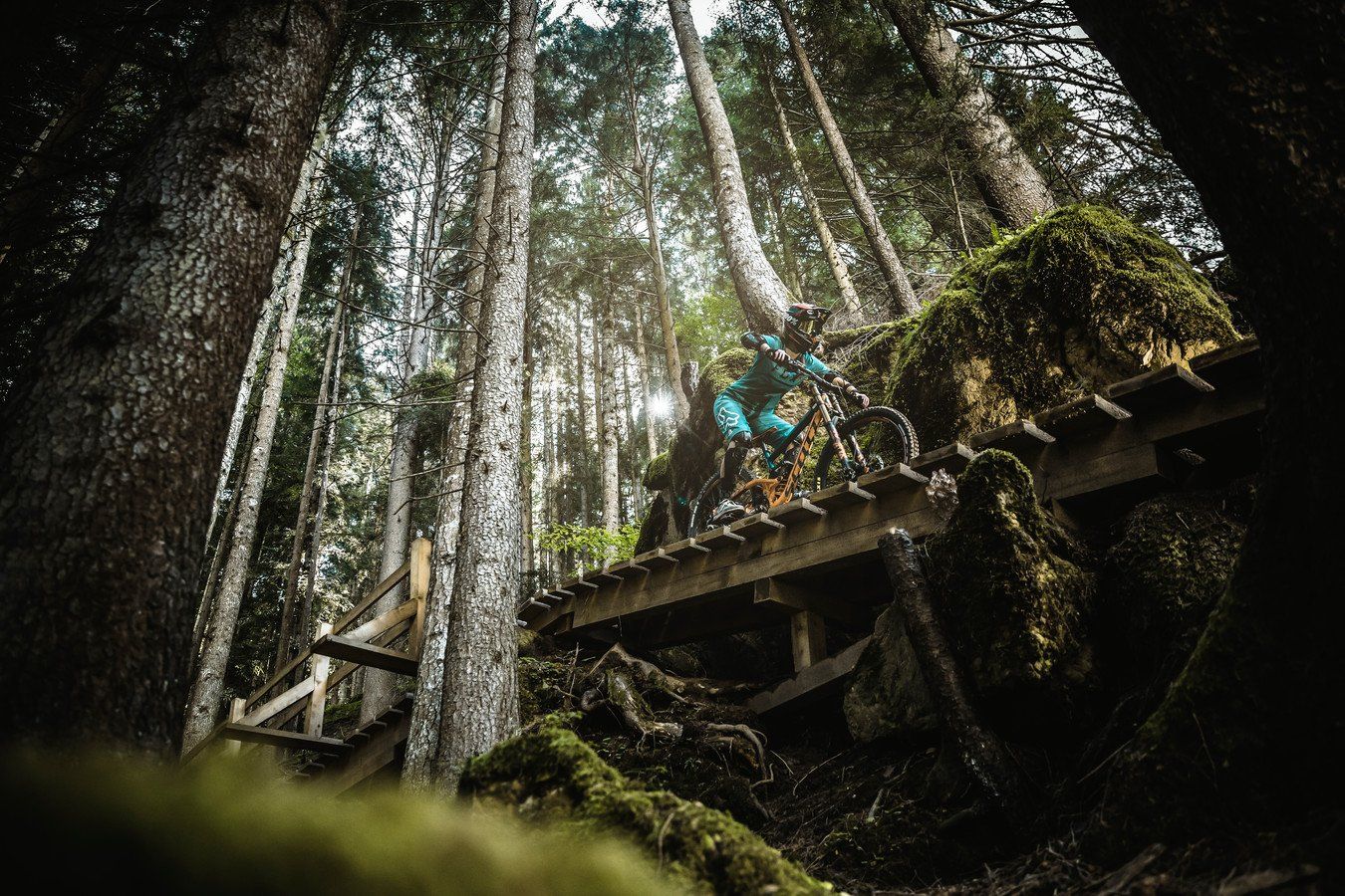 Actionreiches Mountainbiken