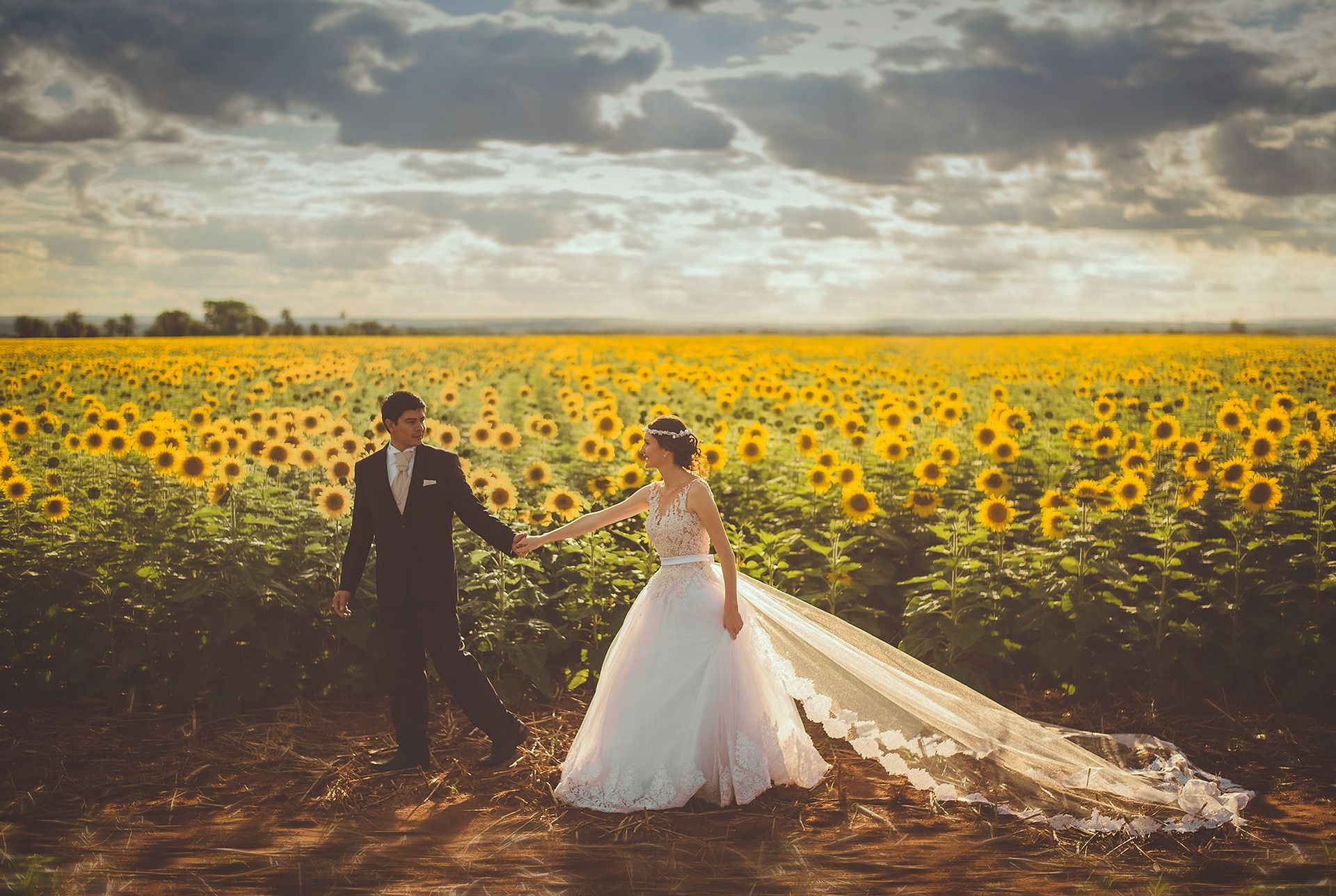 Hochzeit im Sonnenblumenfeld