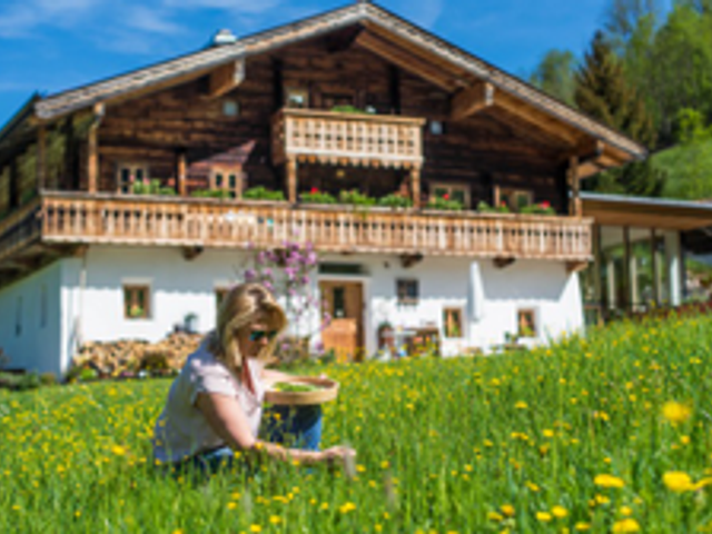 Bauernhof Bijo Farm