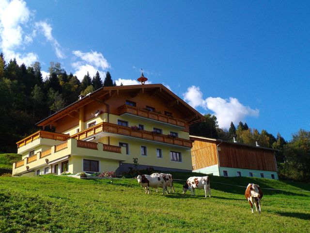 Aslgut