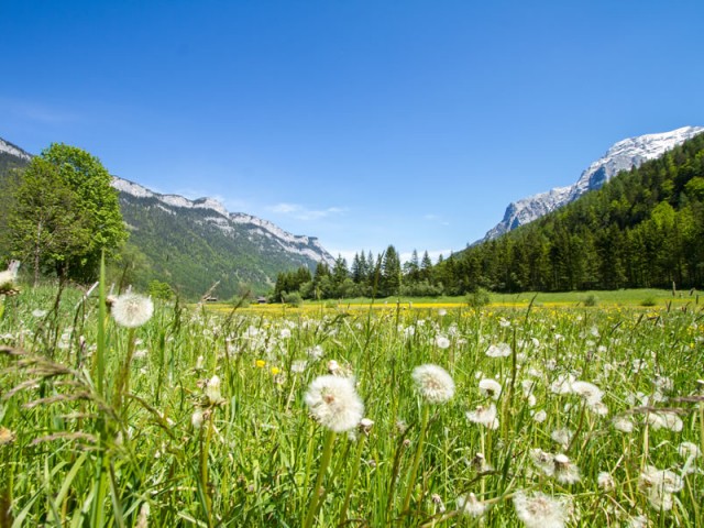 Zimmer und Ferienwohnungen Bergerhäusl 